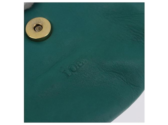 LOEWE Shoulder Bag Leather Green Gold - vista 11