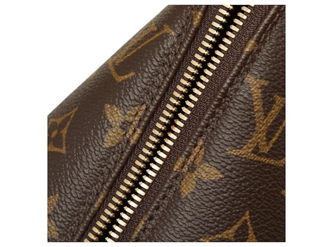 Borsa Louis Vuitton Monogram Alma PM Marrone - vista 10