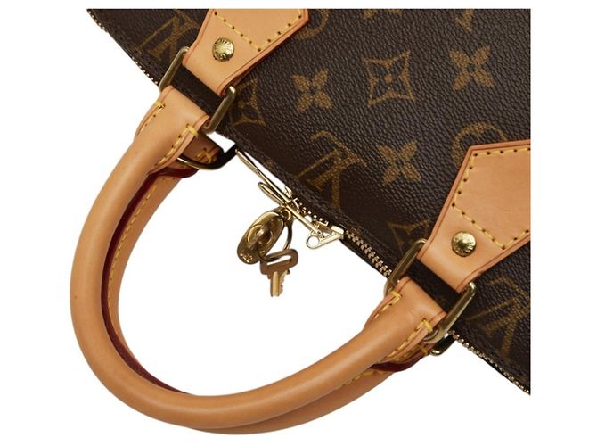 Borsa Louis Vuitton Monogram Alma PM Marrone - vista 8