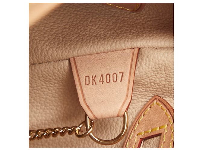 Borsa Tote Louis Vuitton Monogram Petite Bucket PM Marrone - vista 16