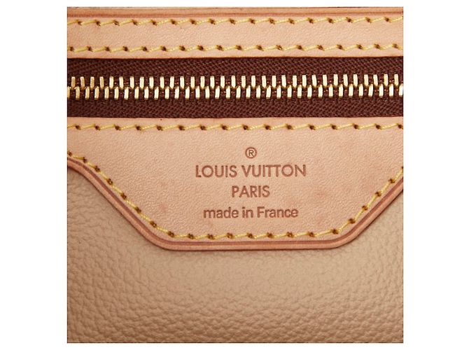 Borsa Tote Louis Vuitton Monogram Petite Bucket PM Marrone - vista 17