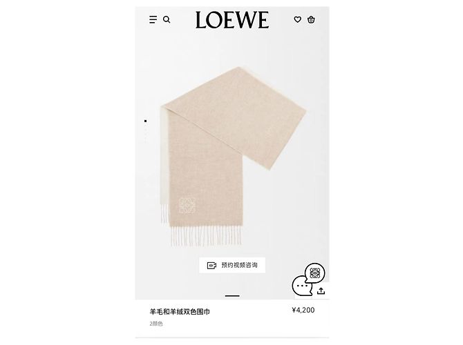 Sciarpa Loewe in cashmere beige Multicolore - vista 6