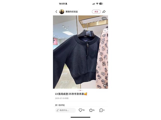 Louis Vuitton Jacken Mehrfarben - Ansicht 9