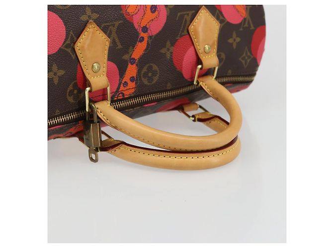 LOUIS VUITTON Monogram La Mage Speedy 30 Hand Bag M41527 LV - vista 7