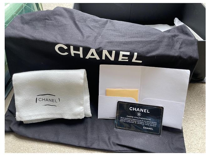 Borsa Chanel Timeless Flap in PVC trasparente e pelle Rosa Bianco Verde Grigio - vista 2