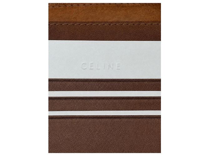 Céline Celine Triomphe zipped wallet in coated canvas and leather Brown Monogram - view 6