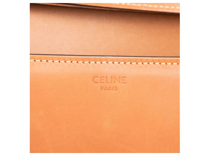 Céline Celine Borsa a Tracolla Triomphe in Pelle di Vitello Marrone - vista 5