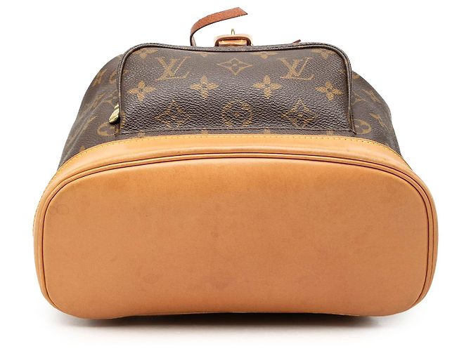 Louis Vuitton Brown Monogram Montsouris MM Marrone - vista 3
