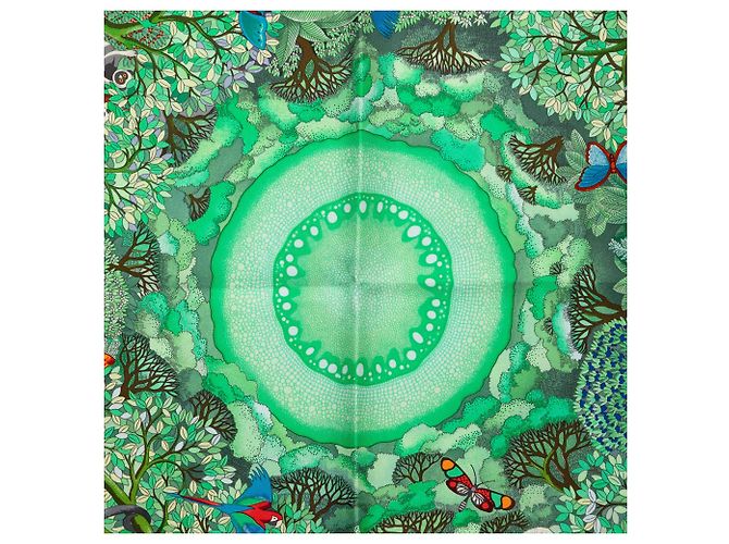 Foulard in seta Hermès Green Au Coeur De La Vie 90 Verde - vista 6
