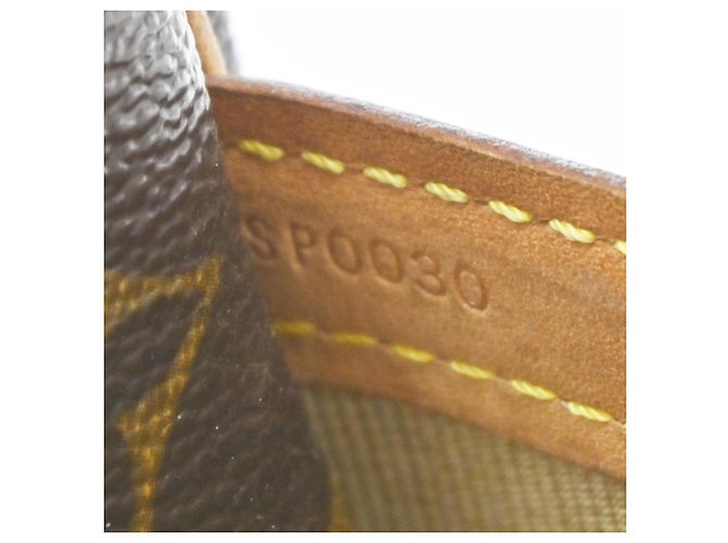 Louis Vuitton Reporter Monogram PM Marrone - vista 7