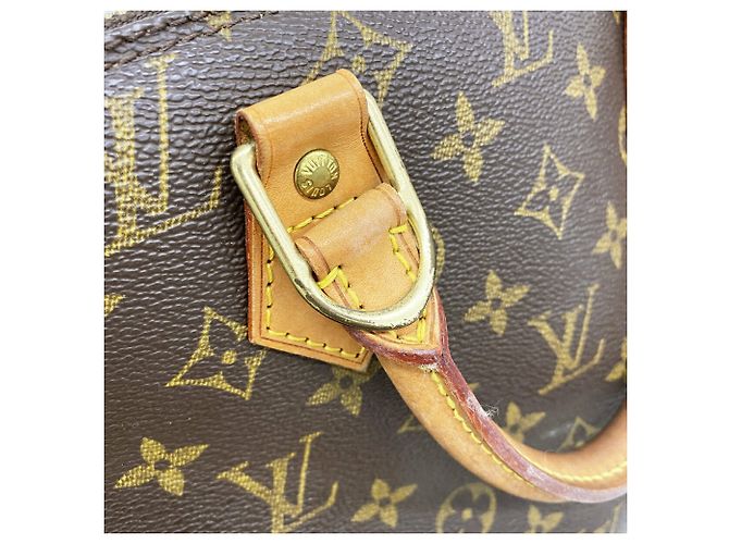 Borsa a mano Louis Vuitton Alma Monogram Marrone - vista 8