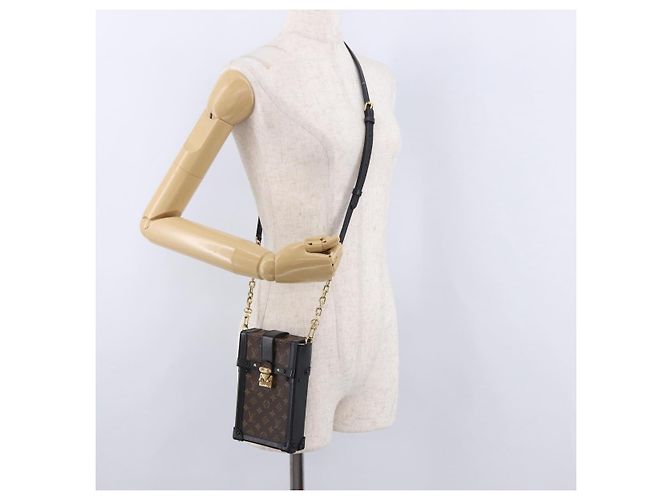 LOUIS VUITTON Monogram Pochette Trunk Vertical Shoulder Bag M63913 - vista 22
