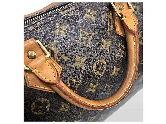 Louis Vuitton Borsa Tote Speedy in tela Monogram marrone - vista 5