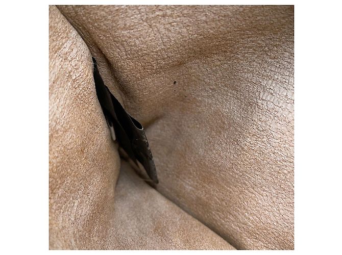Borsa Tote Prada in pelliccia beige - vista 14