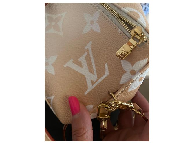 Louis Vuitton Pochette Felicie Monogram Gradient Bianco Beige - vista 9