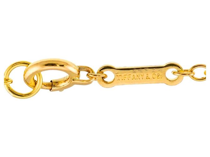 Tiffany & Co. Collana Lunga Apple Large - vista 4