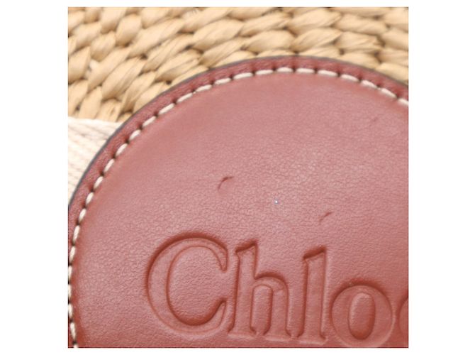 Borsa a tracolla Chloé Woody Small Basket in rafia e lino Marrone Beige - vista 11