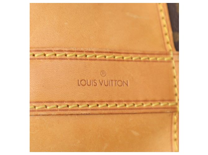Borsa a tracolla Louis Vuitton Monogram Randonee GM Marrone Beige - vista 14