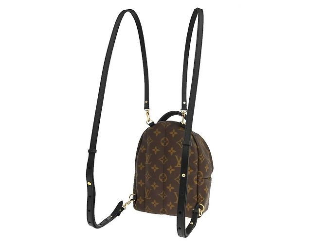 Louis Vuitton Palm Springs Monogram Mini Marrone - vista 2