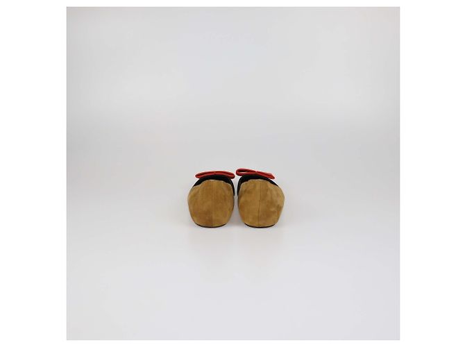 Ballerine a punta in camoscio tricolore Pierre Hardy - vista 5