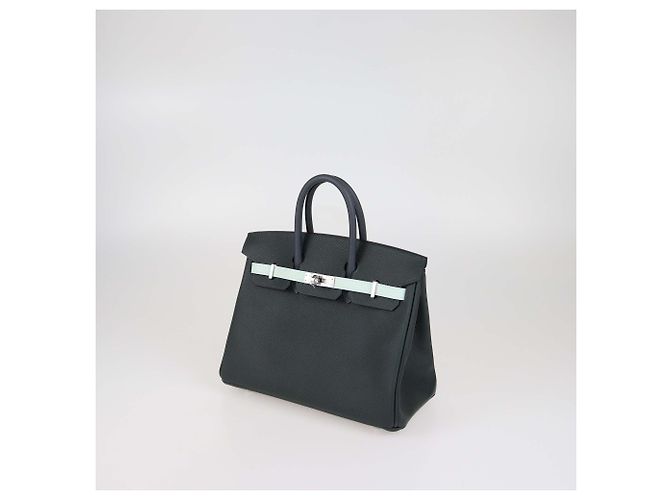Hermès Sac Birkin 25 Hermes en cuir Epsom Tricolor avec hardware Palladium - vue 2