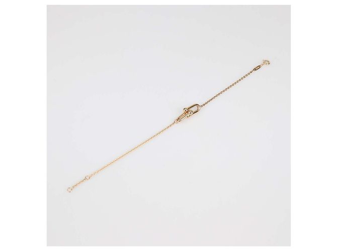 Bracciale Tiffany & Co. Hardware Double Link in oro rosa 18K D'oro - vista 2