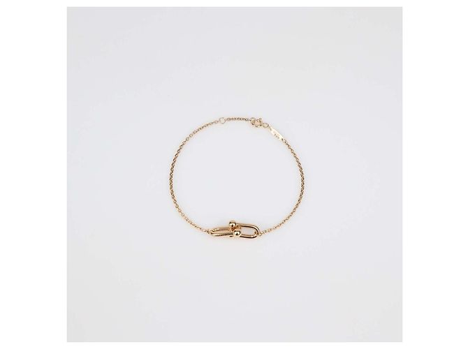 Bracciale Tiffany & Co. Hardware Double Link in oro rosa 18K D'oro - vista 5