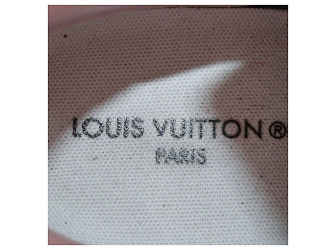 Sneakers Louis Vuitton Multicolor Mesh Run 55 Multicolore - vista 6