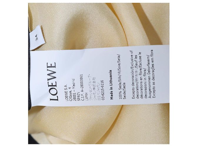 Camicia a maniche lunghe in seta stampata multicolore Loewe - vista 6