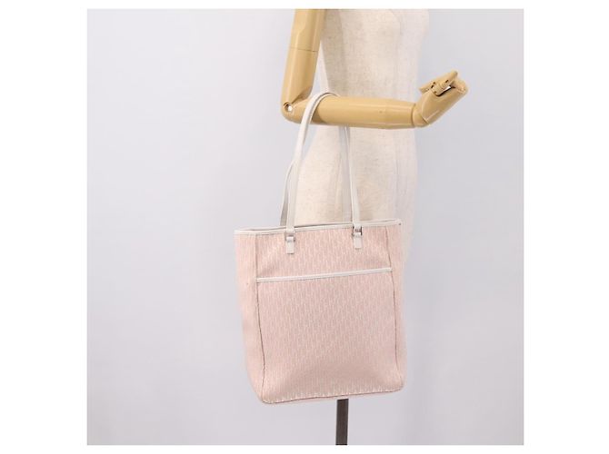 Borsa Tote Christian Dior Trotter Canvas Rosa Argento Auth 201935A - vista 22