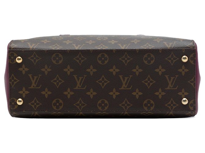Borsa Louis Vuitton Monogram Florine Marrone - vista 3