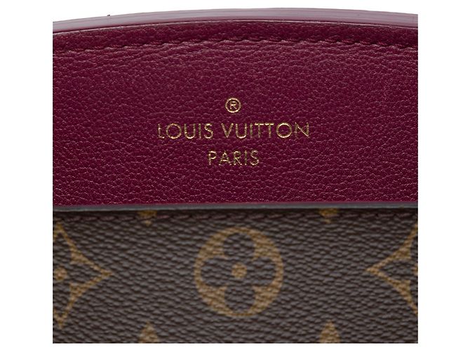 Borsa Louis Vuitton Monogram Florine Marrone - vista 5