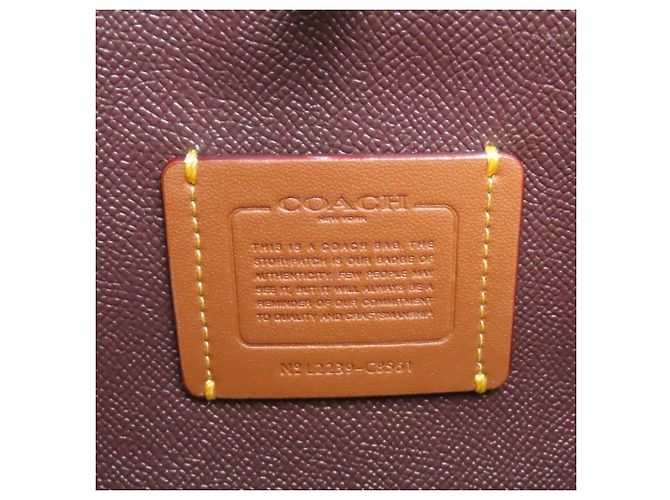 Borsa Coach Willow Beige Marrone Avorio Crudo - vista 22