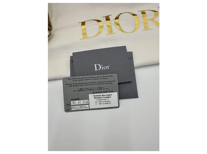Borsa Christian Dior Lady Dior Art Jason Martin Oro D'oro - vista 11