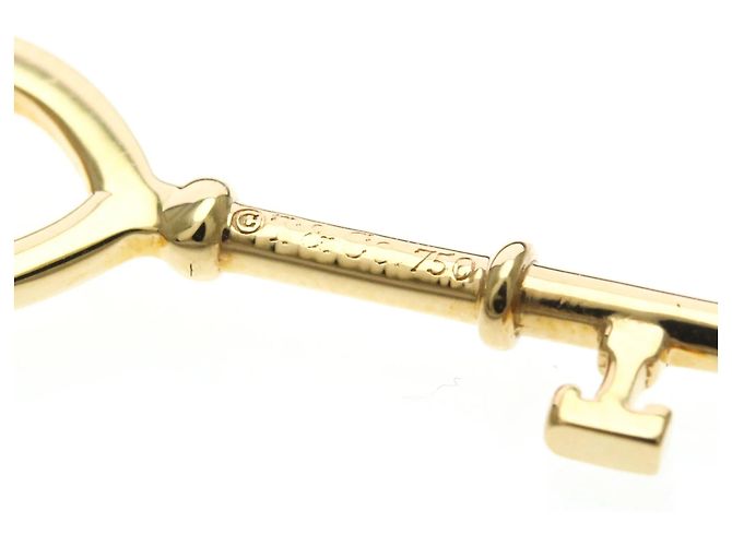 Tiffany & Co Collana Tiffany Heart Key in oro rosa D'oro - vista 7