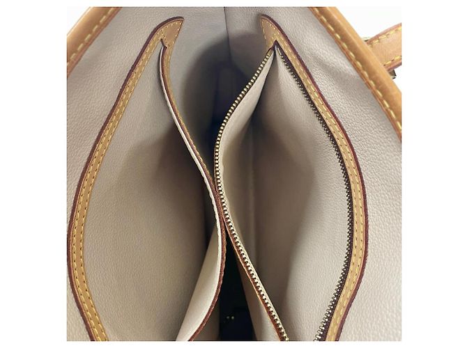 Borsa Tote Louis Vuitton Bucket PM Marrone - vista 5