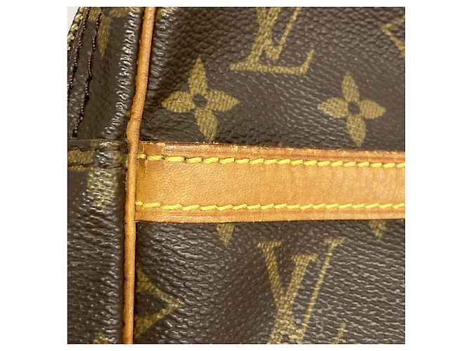 Borsa a tracolla Louis Vuitton Monogram Danube Marrone - vista 7