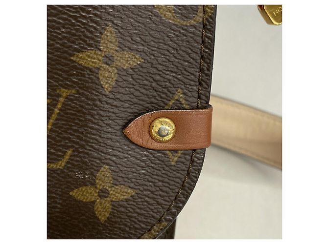 Borsa Louis Vuitton Monogram Vaugirard PM Rosso - vista 11