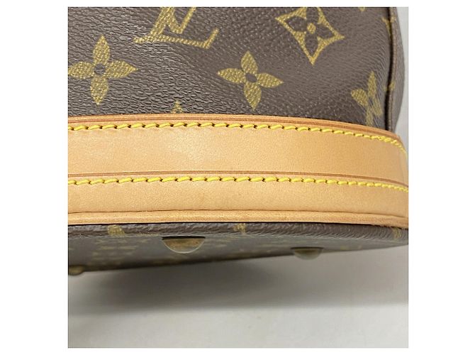 Borsa Tote Louis Vuitton Monogram Bucket PM Marrone - vista 9