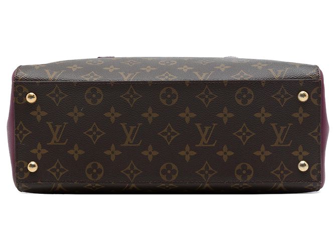 Louis Vuitton Brown Monogram Florine - view 3