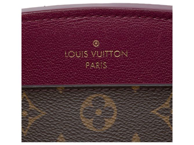 Louis Vuitton Brown Monogram Florine - view 5