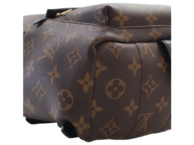 Louis Vuitton Brown Monogram Palm Springs PM Marrone - vista 10