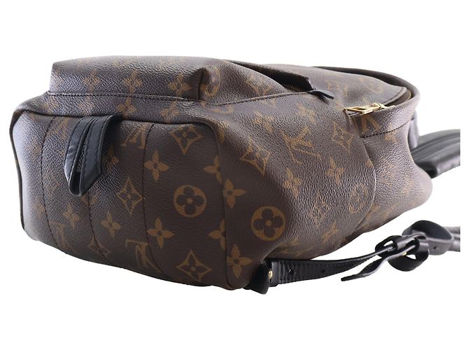 Louis Vuitton Brown Monogram Palm Springs PM Marrone - vista 11