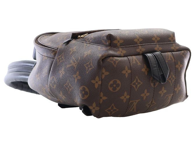 Louis Vuitton Brown Monogram Palm Springs PM Marrone - vista 12