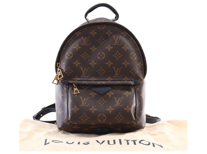 Louis Vuitton Brown Monogram Palm Springs PM Marrone - vista 14