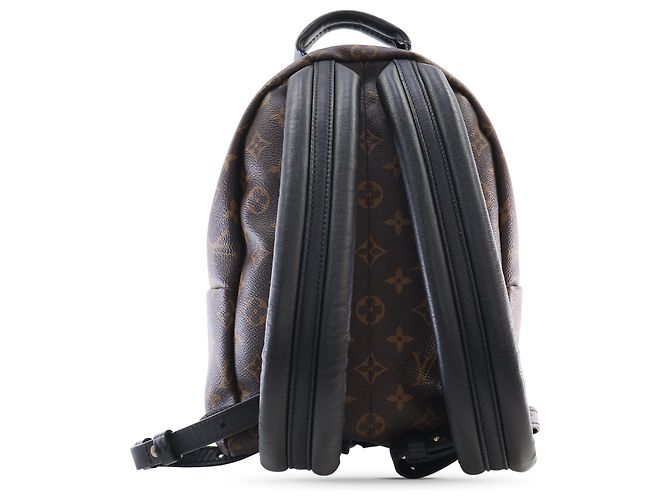 Louis Vuitton Brown Monogram Palm Springs PM Marrone - vista 2