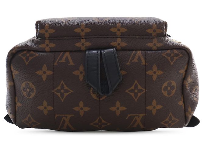 Louis Vuitton Brown Monogram Palm Springs PM Marrone - vista 3