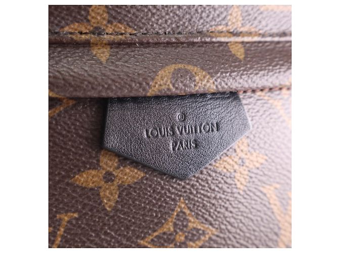 Louis Vuitton Brown Monogram Palm Springs PM Marrone - vista 6