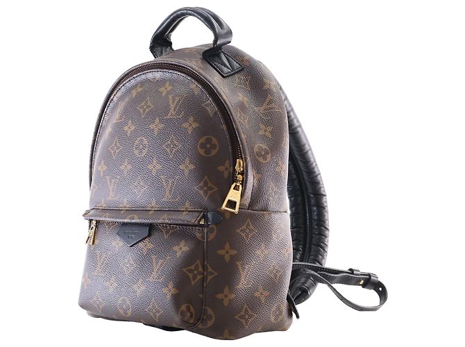 Louis Vuitton Brown Monogram Palm Springs PM Marrone - vista 7