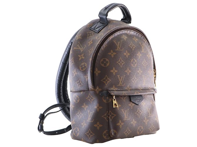 Louis Vuitton Brown Monogram Palm Springs PM Marrone - vista 8